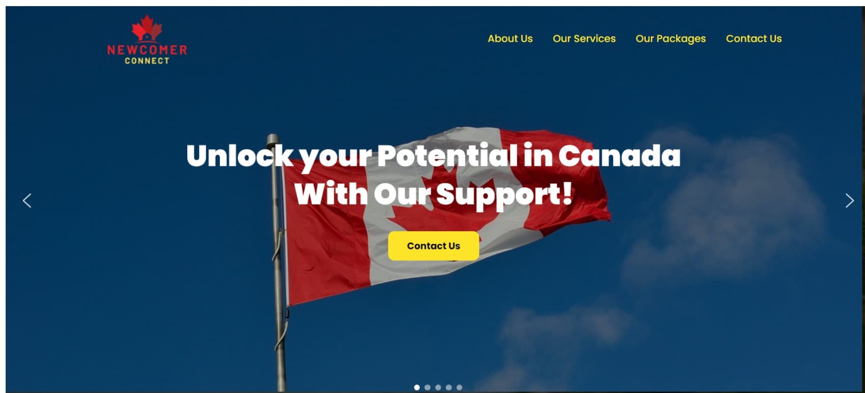 New Comer Connect